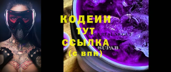 ПСИЛОЦИБИНОВЫЕ ГРИБЫ Горняк