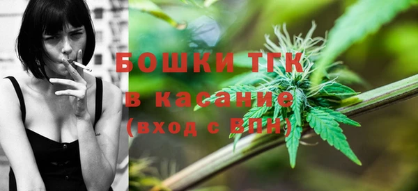PSILOCYBIN Тайга