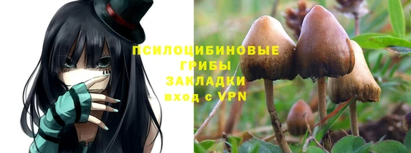каннабис Вяземский