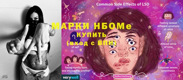 ПСИЛОЦИБИНОВЫЕ ГРИБЫ Горняк