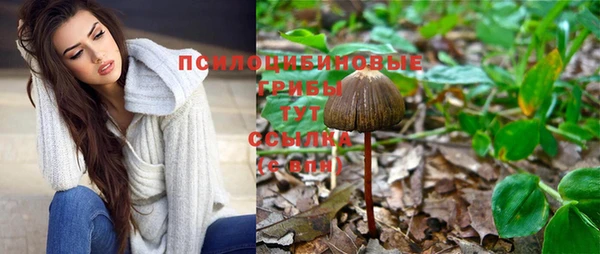 ПСИЛОЦИБИНОВЫЕ ГРИБЫ Горняк