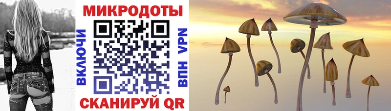 наркота  Избербаш  Псилоцибиновые грибы MAGIC MUSHROOMS 